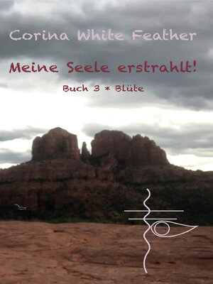 cover image of Meine Seele erstrahlt!